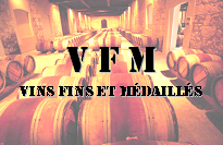 vfm-vins